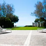 Degli Squali 3*