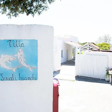 Degli Squali Terracina